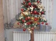 Grajewo ogłoszenia: Sprzedam sztuczna choinkę na pniu, okazała się za wysoka, użyta... - zdjęcie