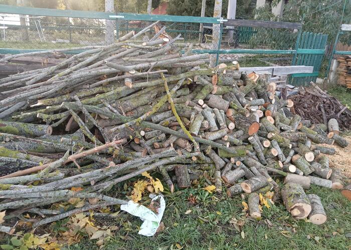 Grajewo ogłoszenia: Sprzedam drzewo przejść pocięte w klocki okł 2 m