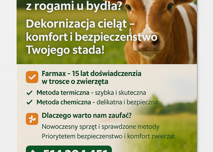 Grajewo ogłoszenia: Witamy.
Nasza firma oferuję usługi z zakresu dekornizacji...